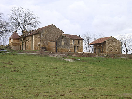la belie40