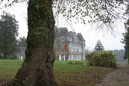 185-8546_CRW_RT16